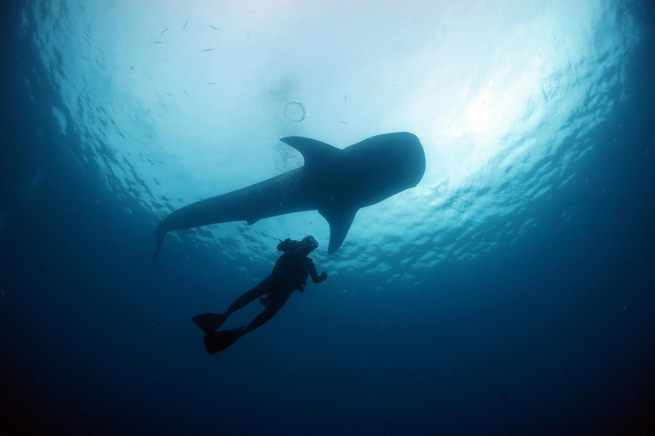 Sea Blue Onna Exterior foto