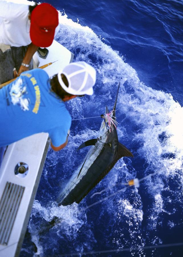 Sea Blue Onna Exterior foto